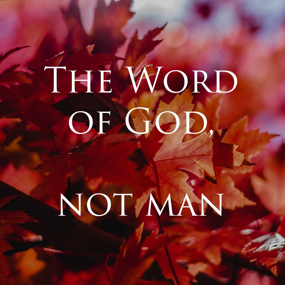 The Word of God, not men Image